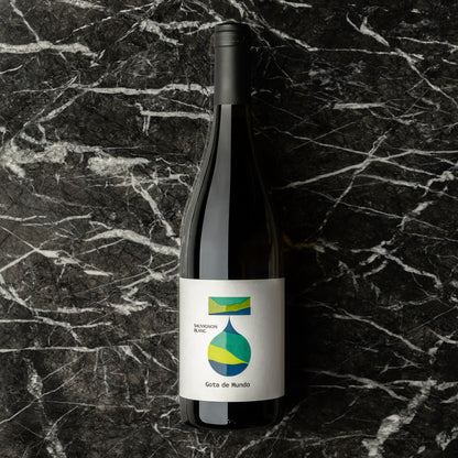 SAUVIGNON BLANC SLOVENIA