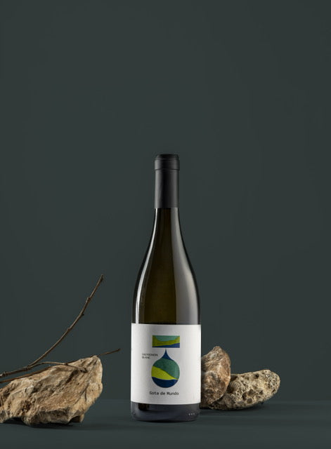 SAUVIGNON BLANC SLOVENIA